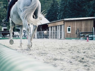 Bild på en ridbana.